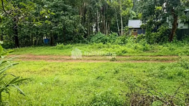 65 Cent Residential Land for Sale In Pandalam, Adoor 