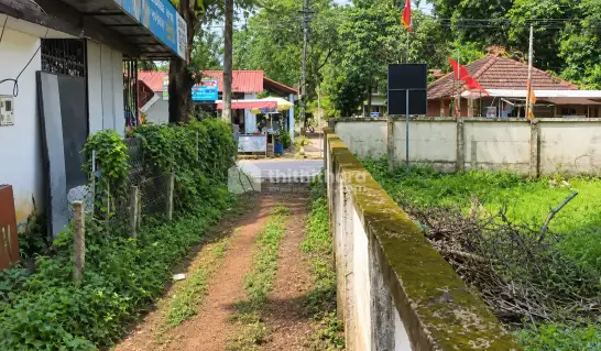 25.5 Cent Residential Land for Sale in Kayamkulam, Alappuzha