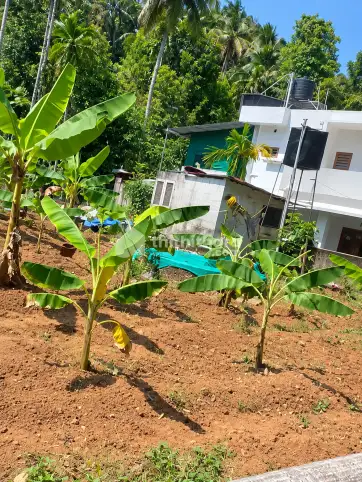 Residential Land for Sale in Poothamkutty, Mookkannur, Angamaly