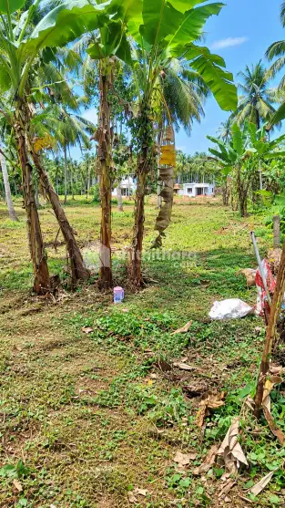 39.5 Cent Riverside plot for Sale in Koottilangadi, Malappuram | Nechikutti