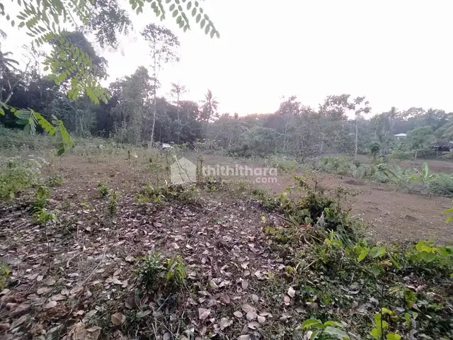 Land For Sale in Perumbavoor Ernakulam