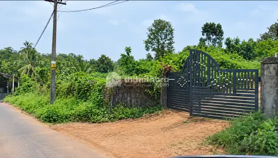 2.70 Acre Land for Sale in Ezhakkaranad, Poothirkka 