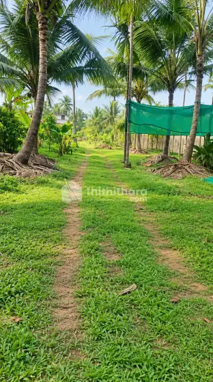 4 Acre Riverside Land for Sale in Olassa, Kottayam | Near Kumarakom
