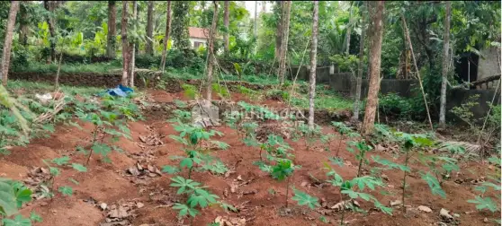 Land For Sale In Kothamangalam Ernakulam