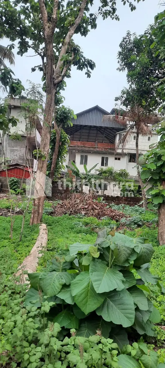 Prime Land for Sale in Edappally North – Near Lulu Mall & Metro