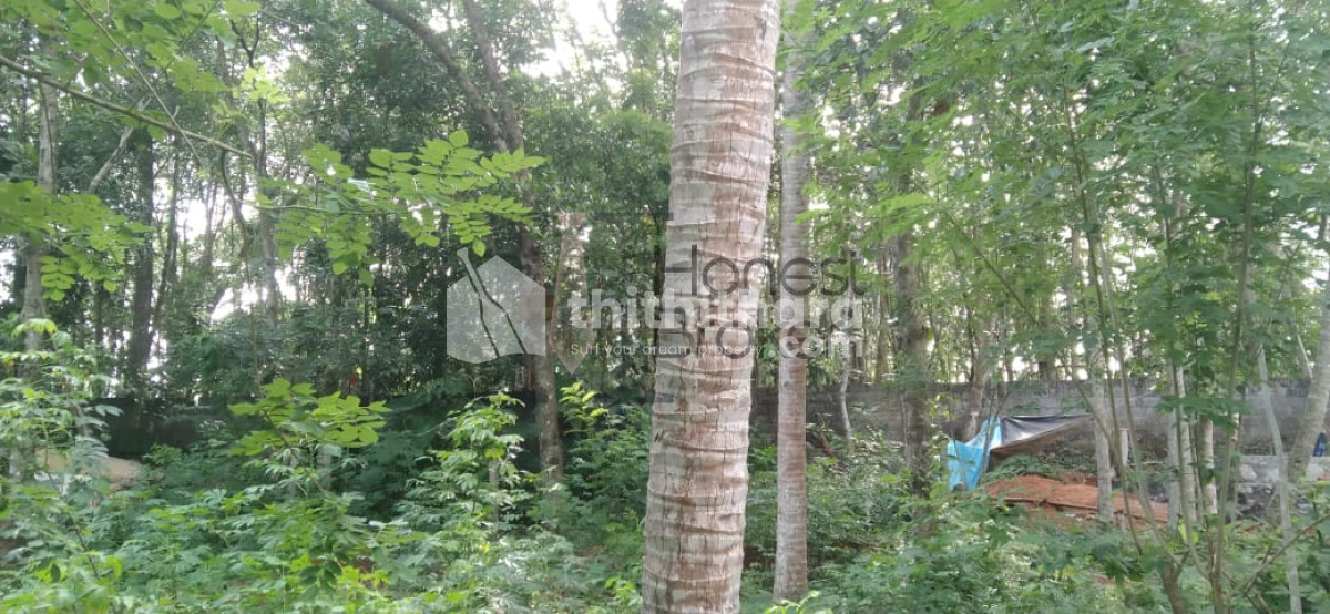 Residential Land for sale at Neyyattinkara, Thiruvanathapuram