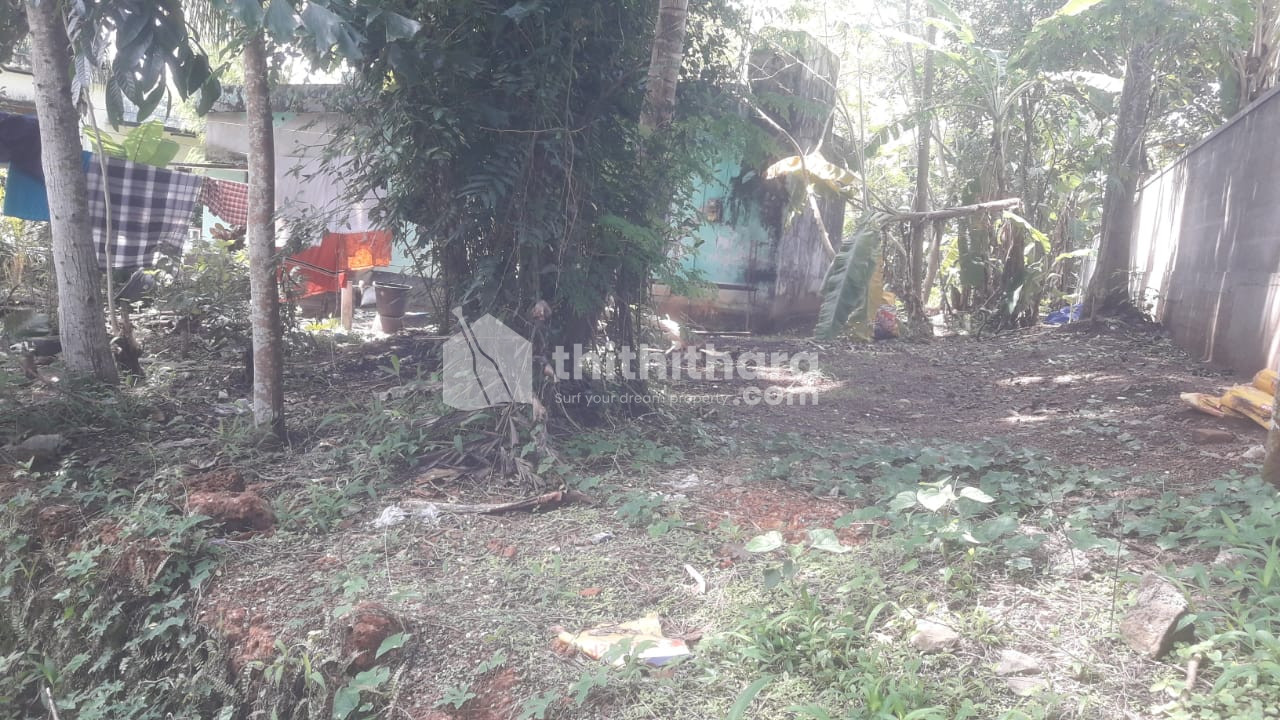 House Plot for sale at Chadayamanagalam , Kollam