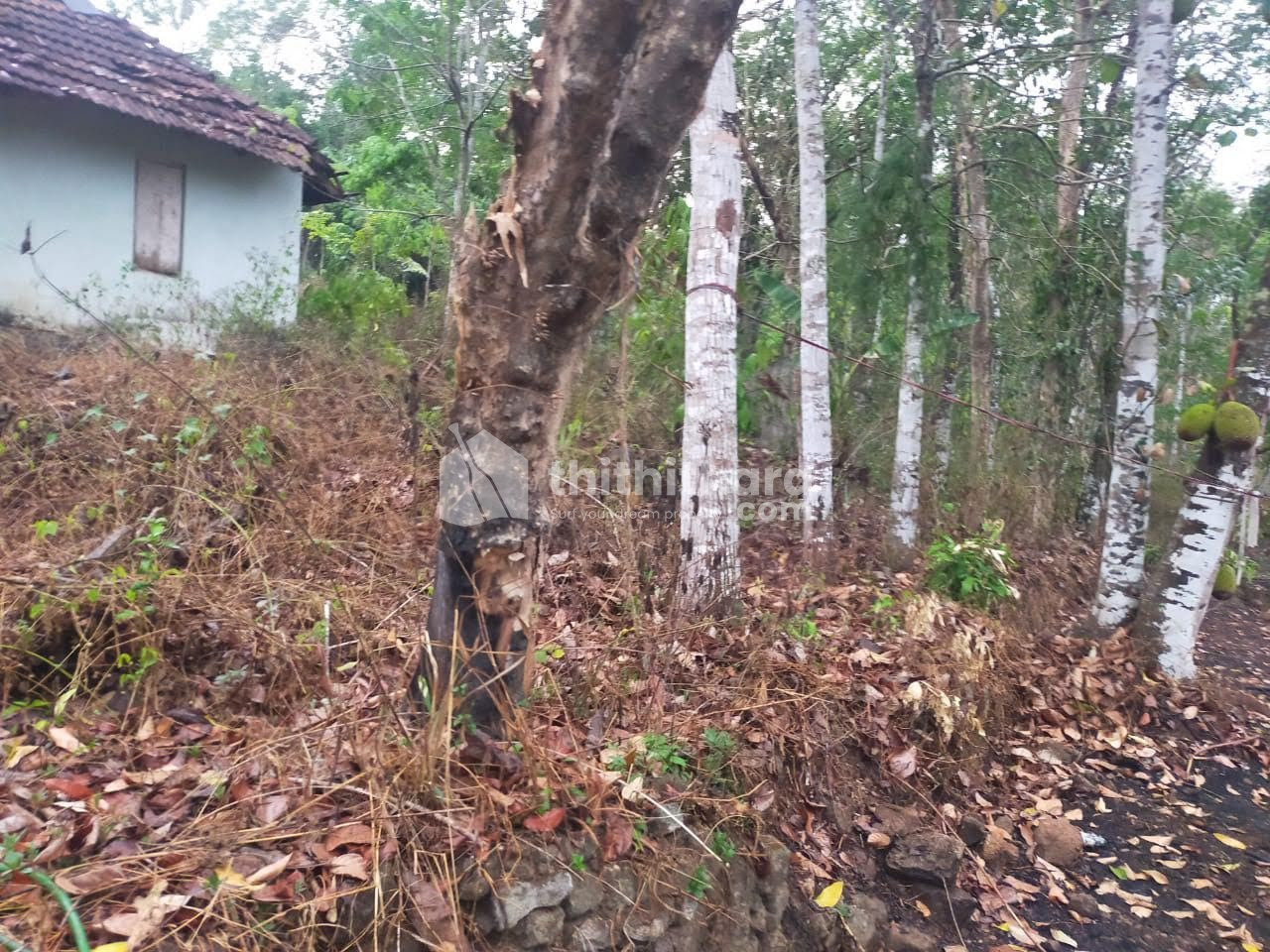 Residential Land for sale at Thiruvalla, P