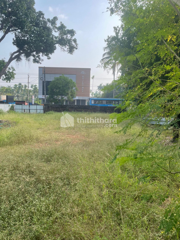 Commercial Plot for Sale near St. Thomas College, Thrissur