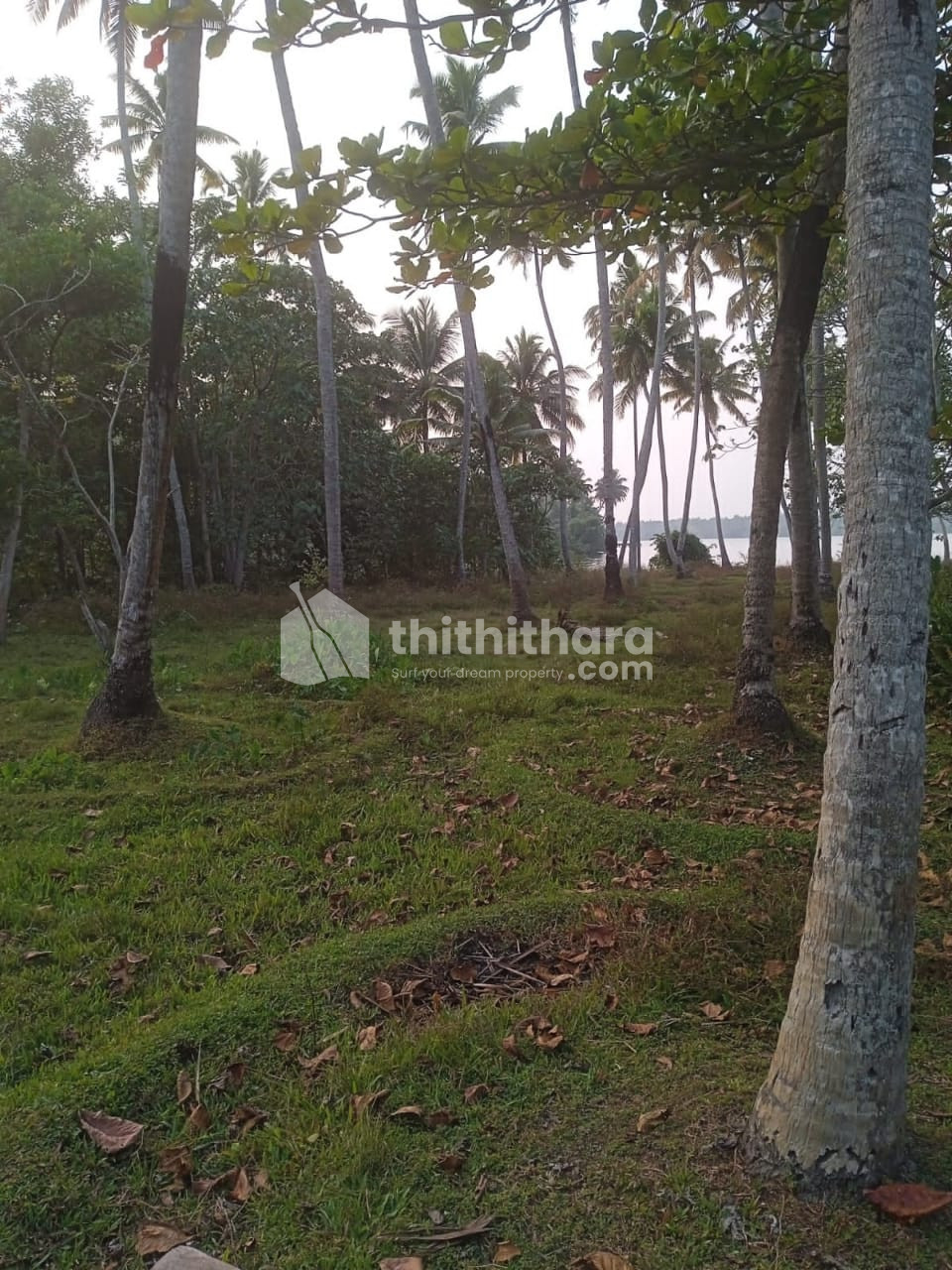 Lake and sea view land for sale in Varkala Kappil, Trivandrum